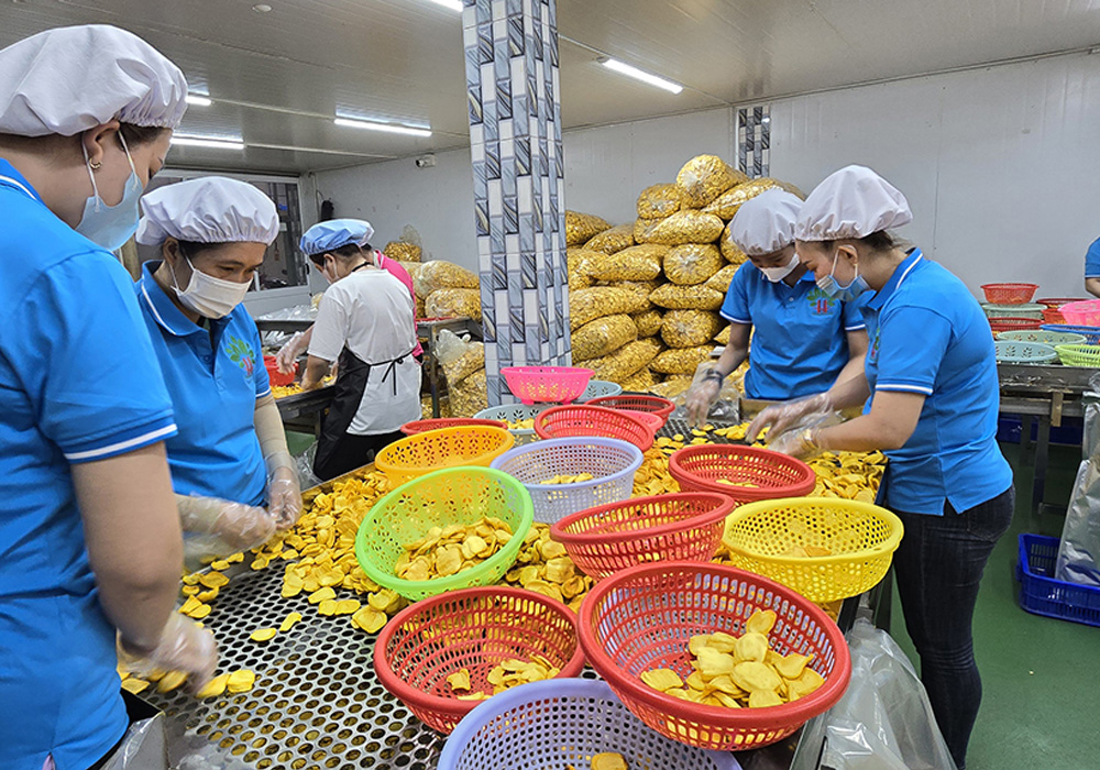 Chế biến mít sấy