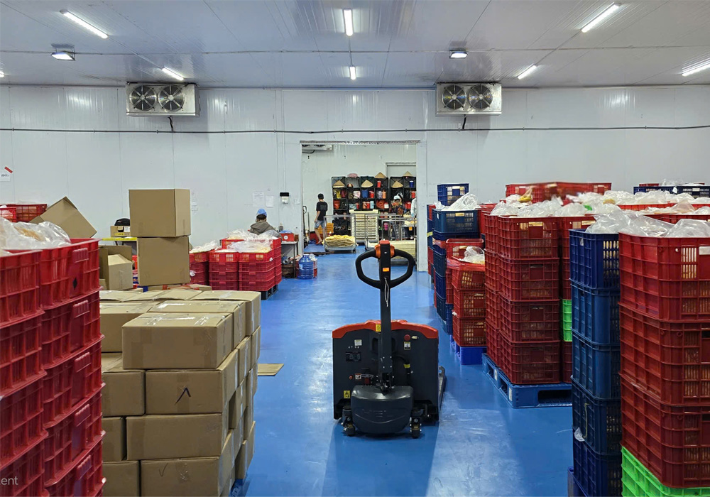 Xưởng xoài sấy dẻo