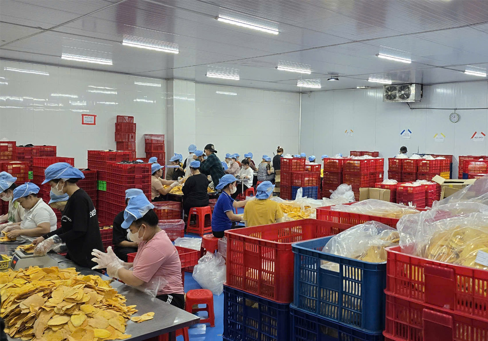 Chế biến xoài sấy dẻo