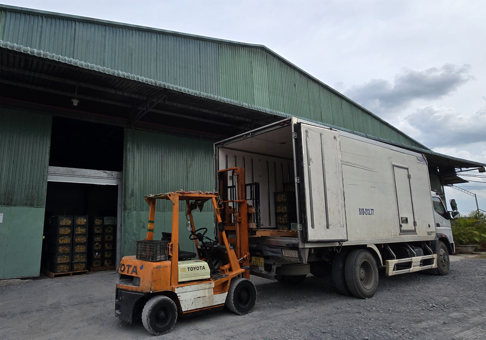 Nhà máy sấy xoài