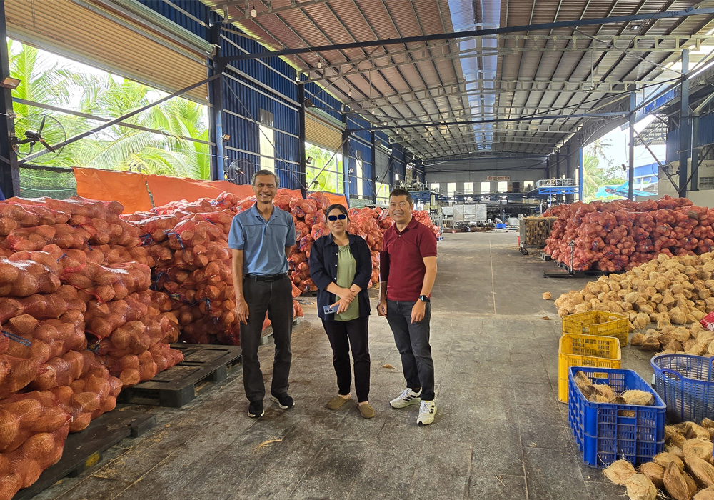 Chế biến dừa khô