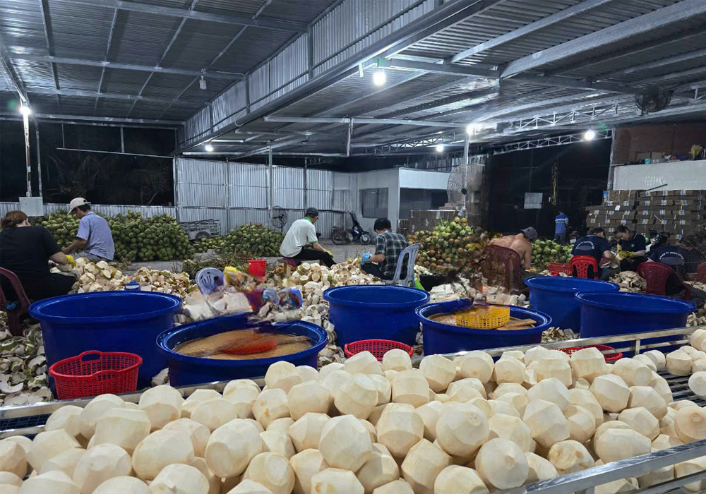 Chế biến dừa tươi