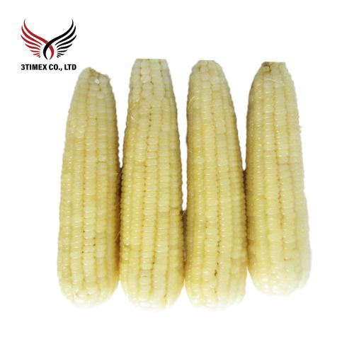 Bắp nếp luộc nguyên trái đông lạnh IQF