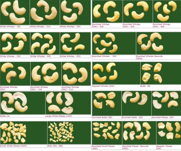 Cách phân loại hạt điều